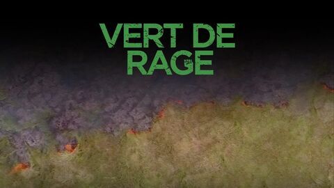 Vert de rage