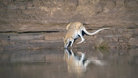 Kimberley, le Grand Ouest sauvage australien
