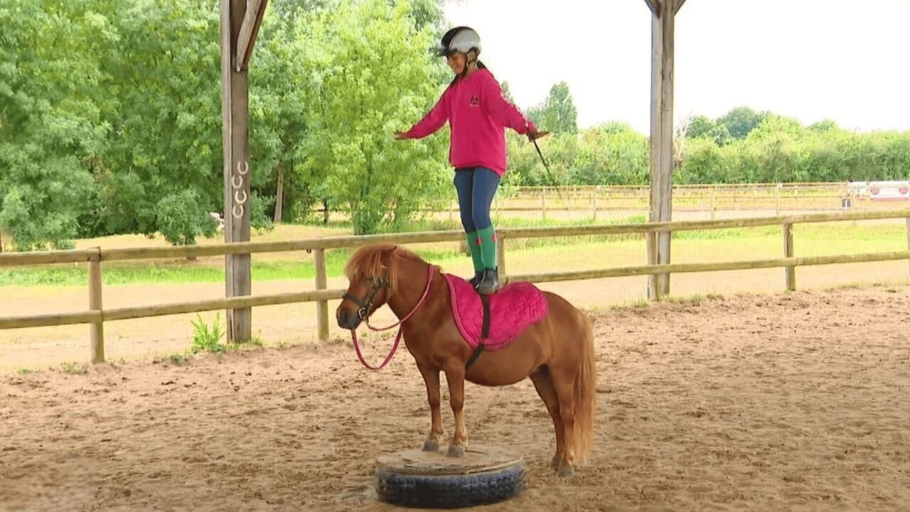 Au galop !