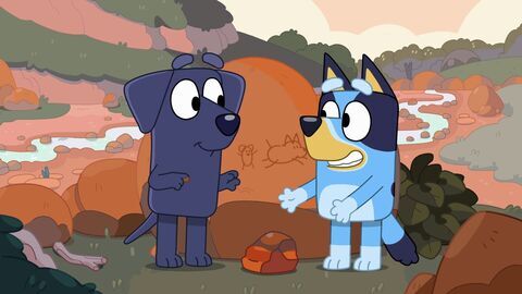 Bluey
