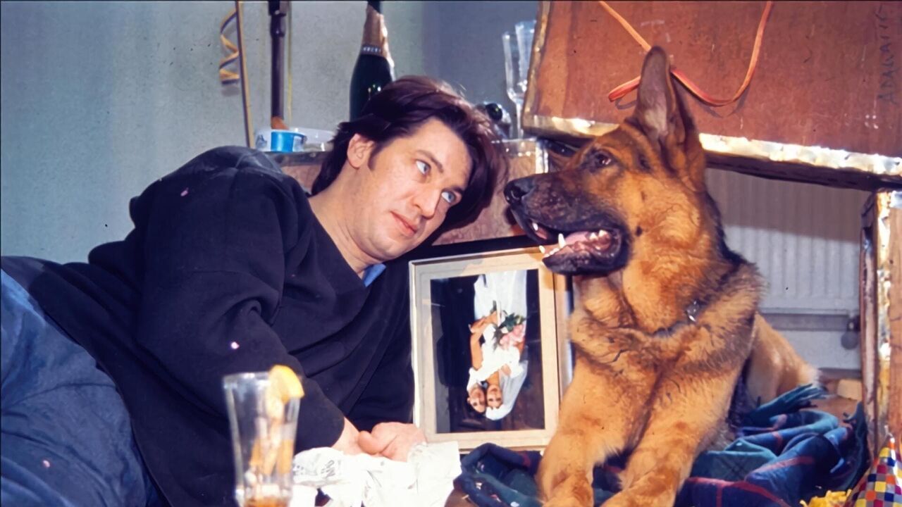 Rex, chien flic