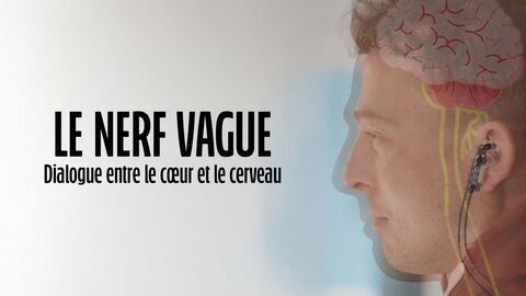 Le nerf vague : dialogue entre le coeur et le cerveau