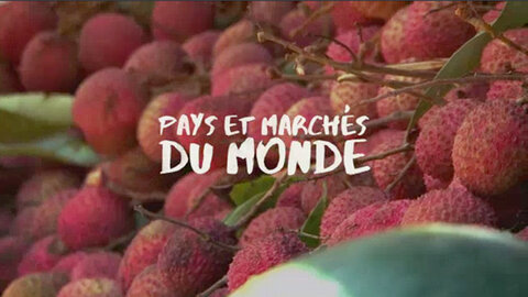 Pays et marchés du monde sur France 2