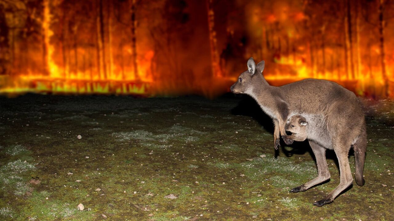 Quand la nature se déchaîne