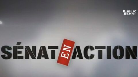 Sénat en action — LCP 16:31