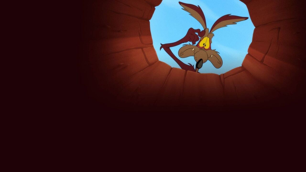 Looney Tunes Cartoons - Boomerang