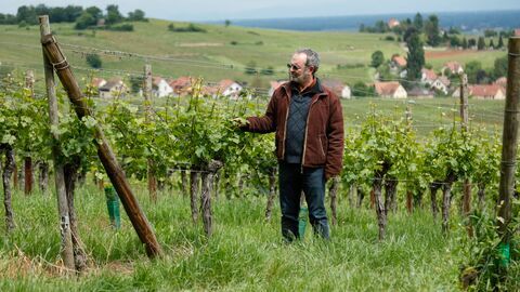 César Wagner - France 2