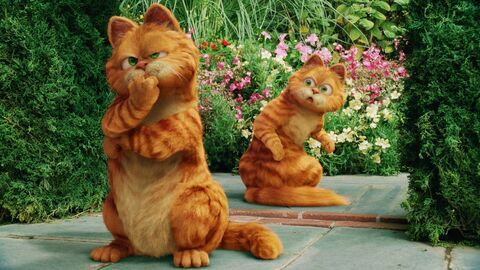 Garfield 2 - Gulli