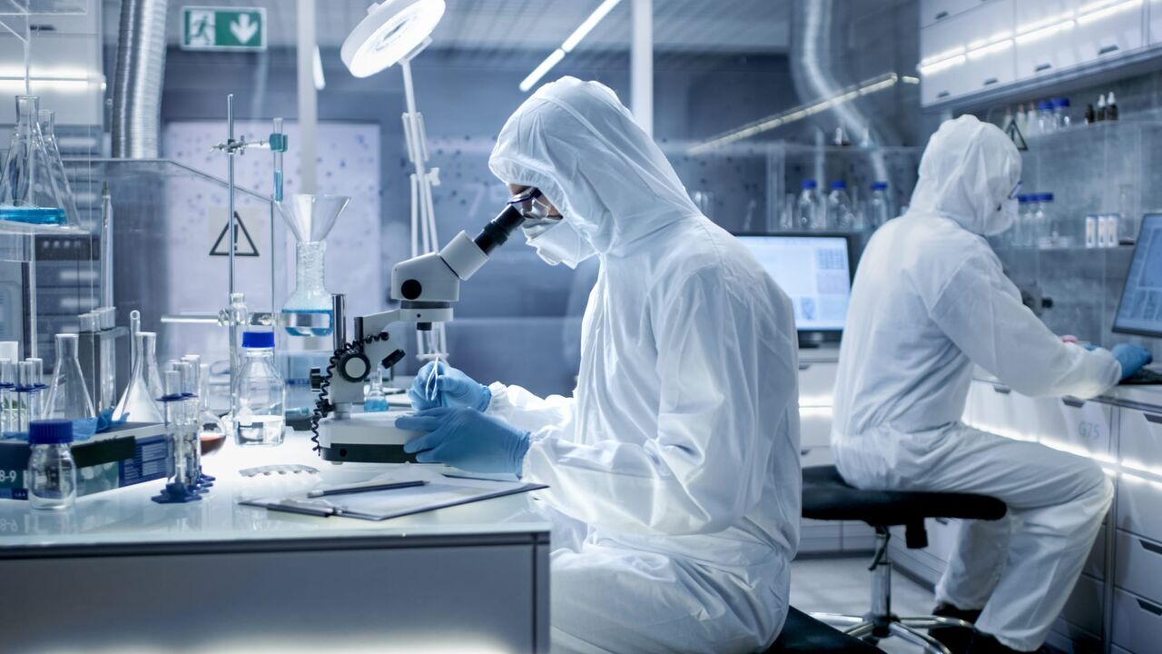 L'histoire au scalpel
