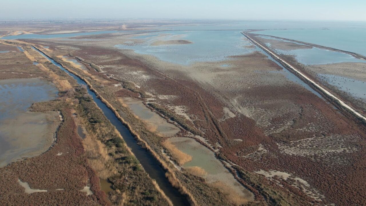 Sale temps pour la planète