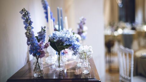 Mariés au premier regard