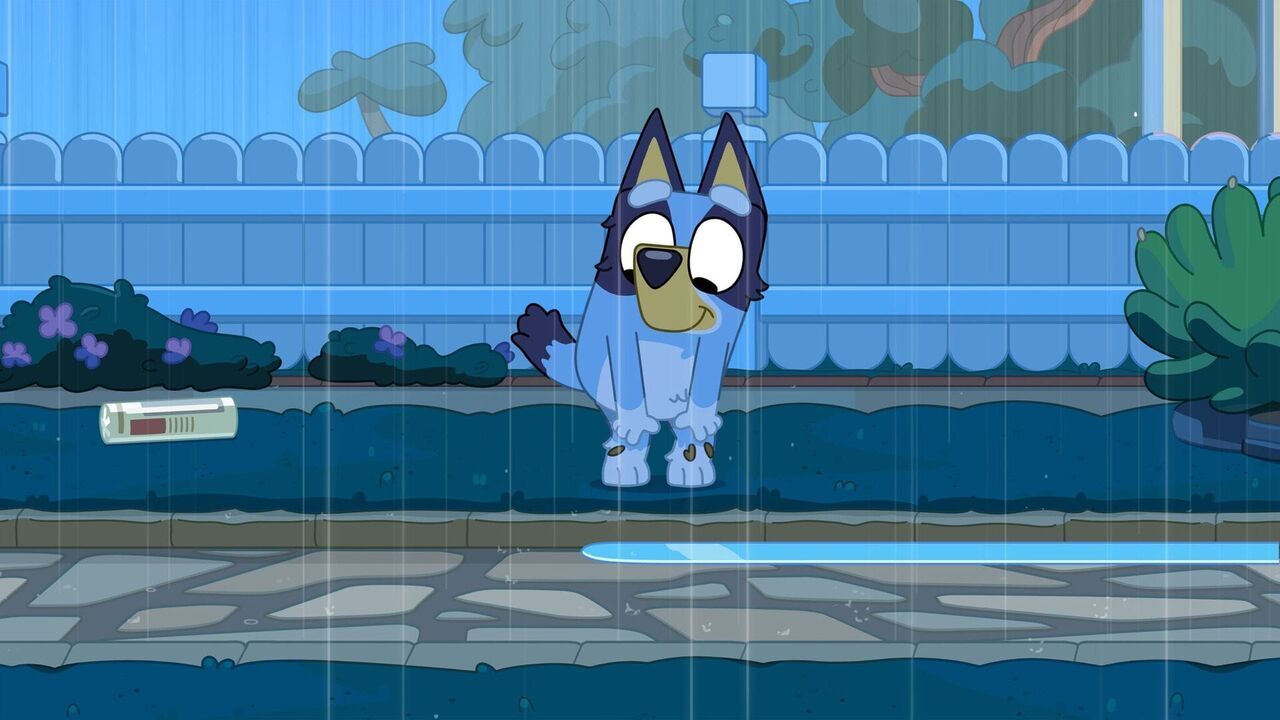 Bluey