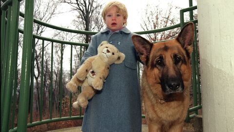 Rex, chien flic