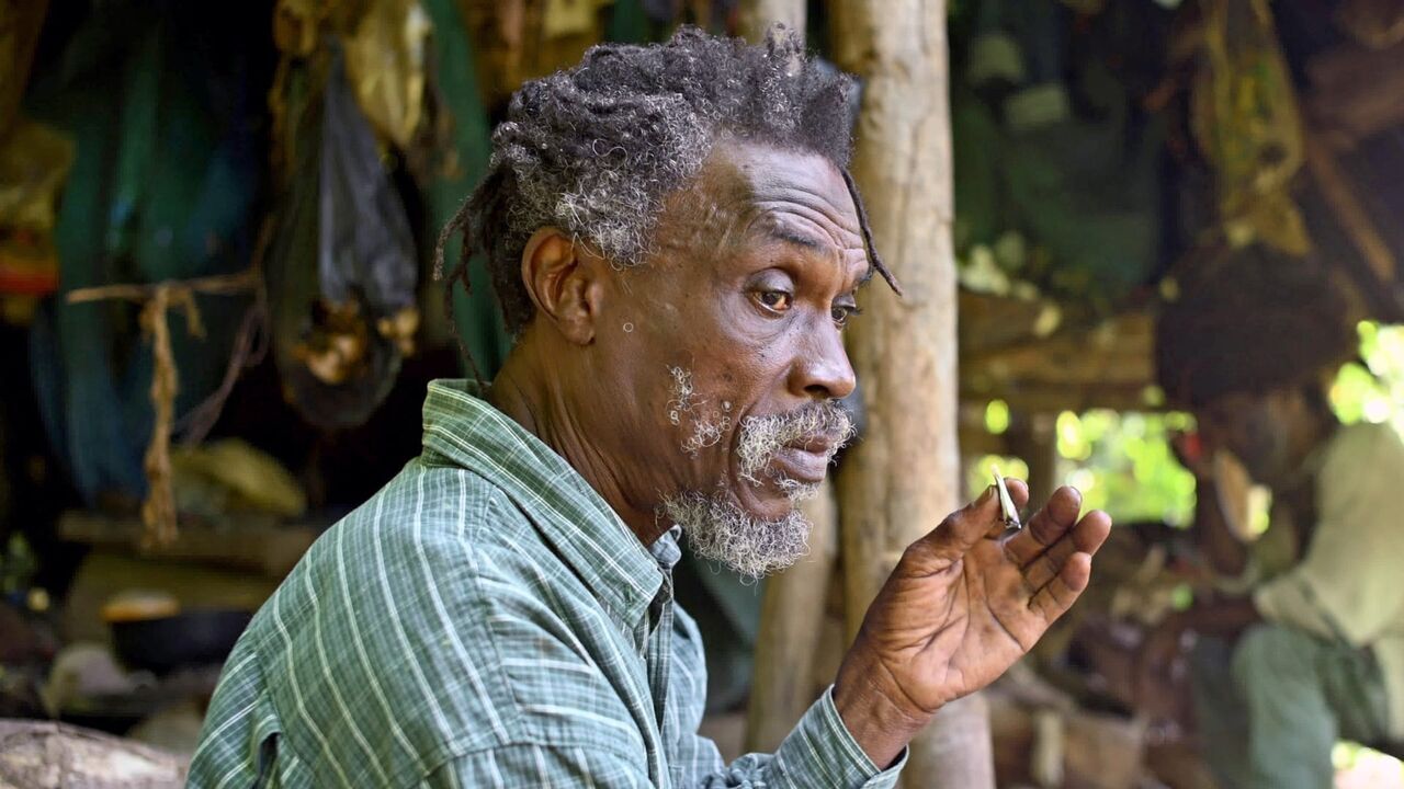 Jamaïque : Rasta Gracie et ses amis guérisseurs — Arte 18:05