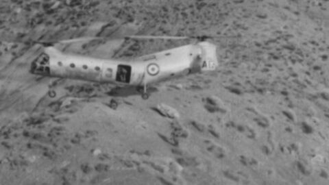En guerre(s) pour l'Algérie