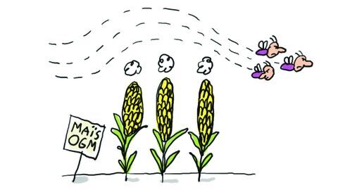 Un jour, une question — France 3 08:52