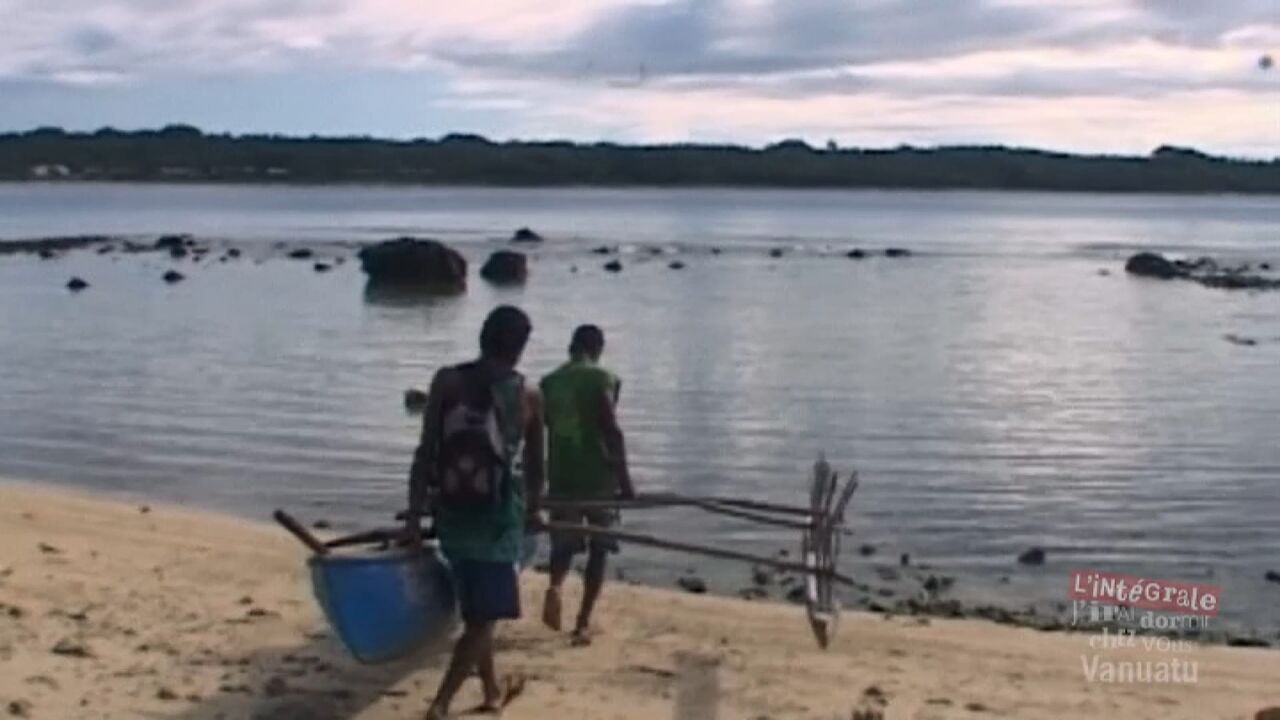 J'irai dormir chez vous