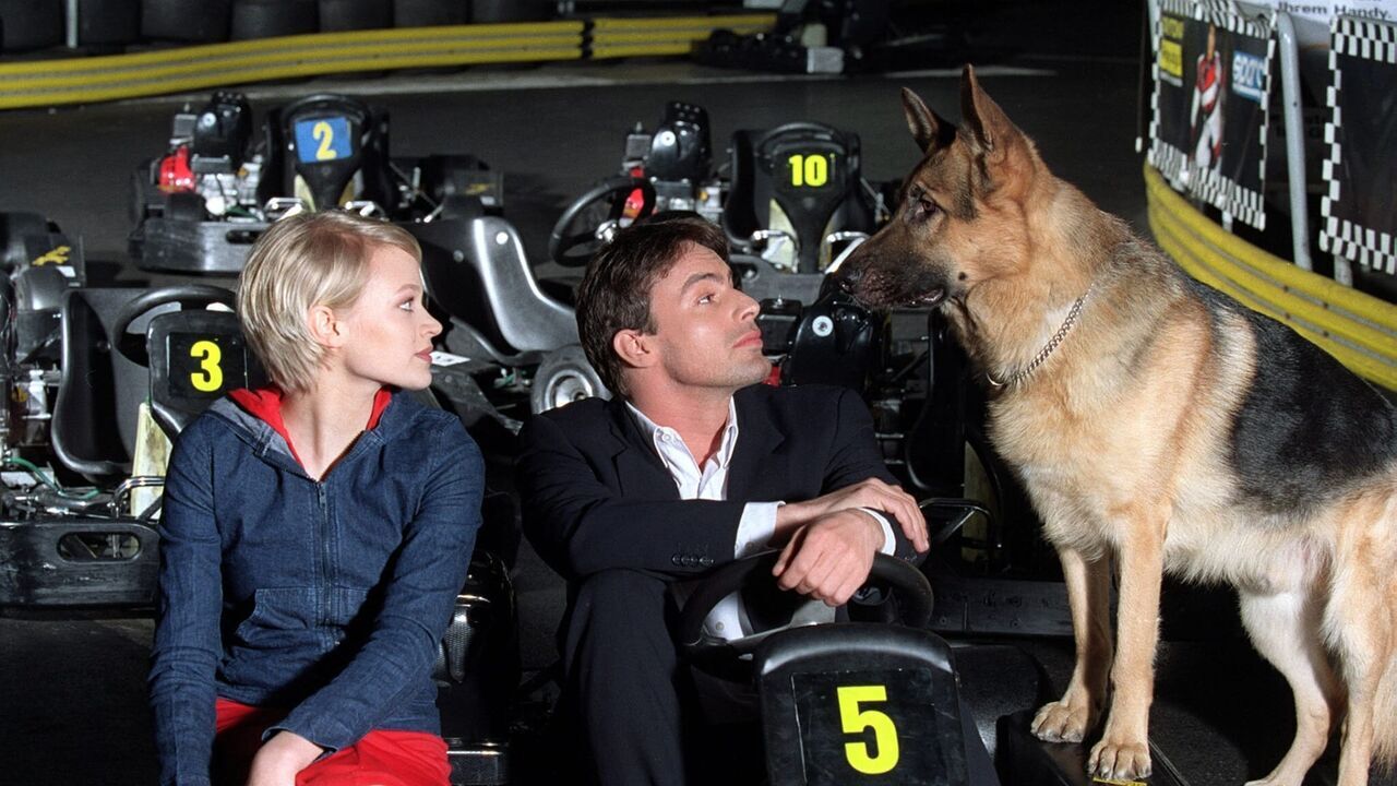 Rex, chien flic
