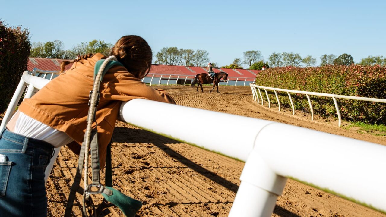 Les secrets du domaine Rosemont — TF1 14:25