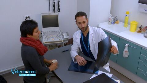 Vétérinaires, leur vie en direct