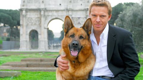 Rex, chien flic