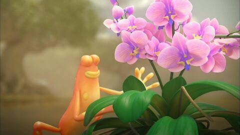 Les as de la jungle à la rescousse - Boomerang