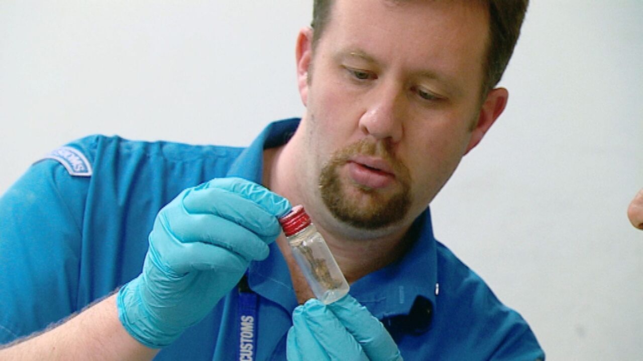 Douanes sous haute surveillance — CStar 14:42