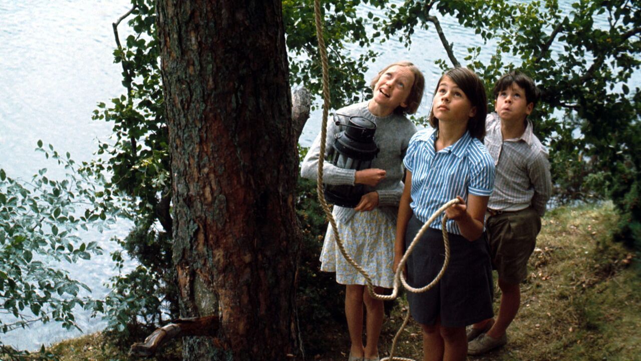 Hirondelles et amazones