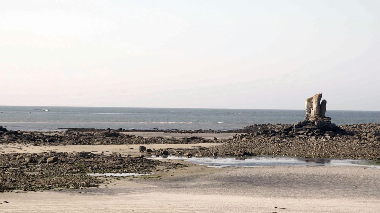 Le grand cirque des marées - Arte