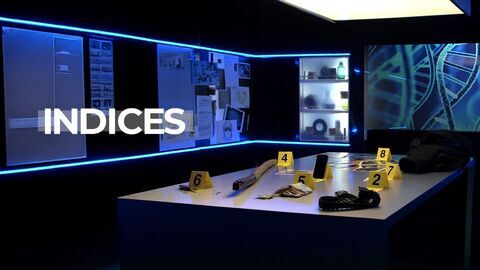 Indices