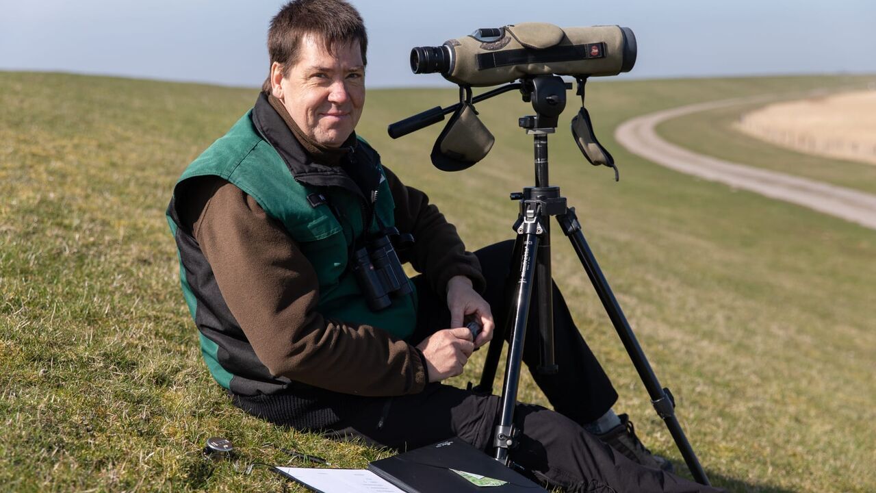 Mer du Nord, le retour des oies sauvages - Arte