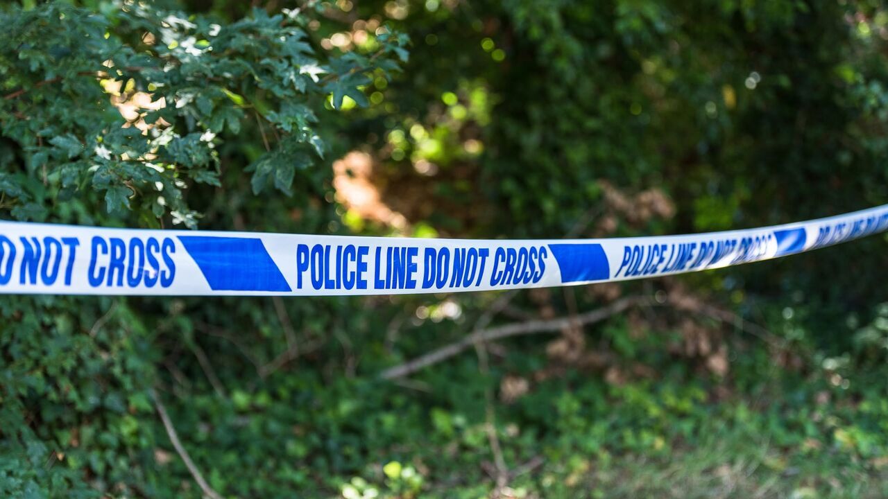 Crimes