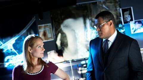 Les experts - TV Breizh