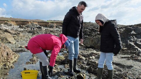 Cuisines des terroirs - Arte