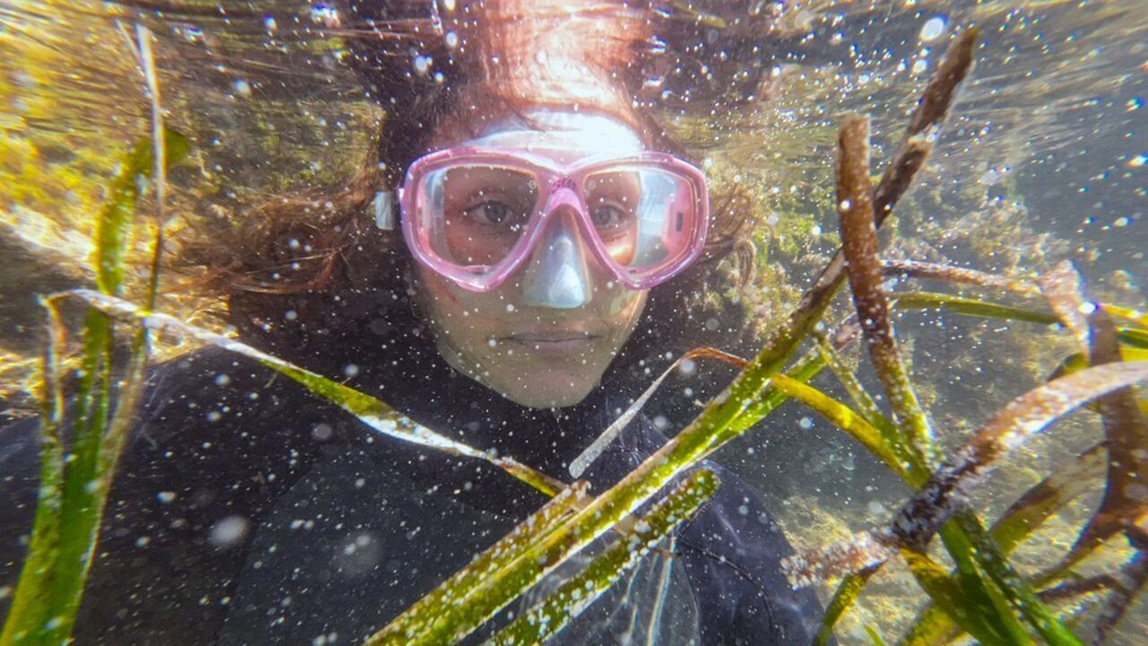 Aux Baléares, sauver les herbiers marins