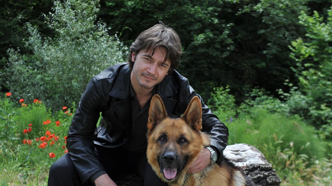 Rex, chien flic