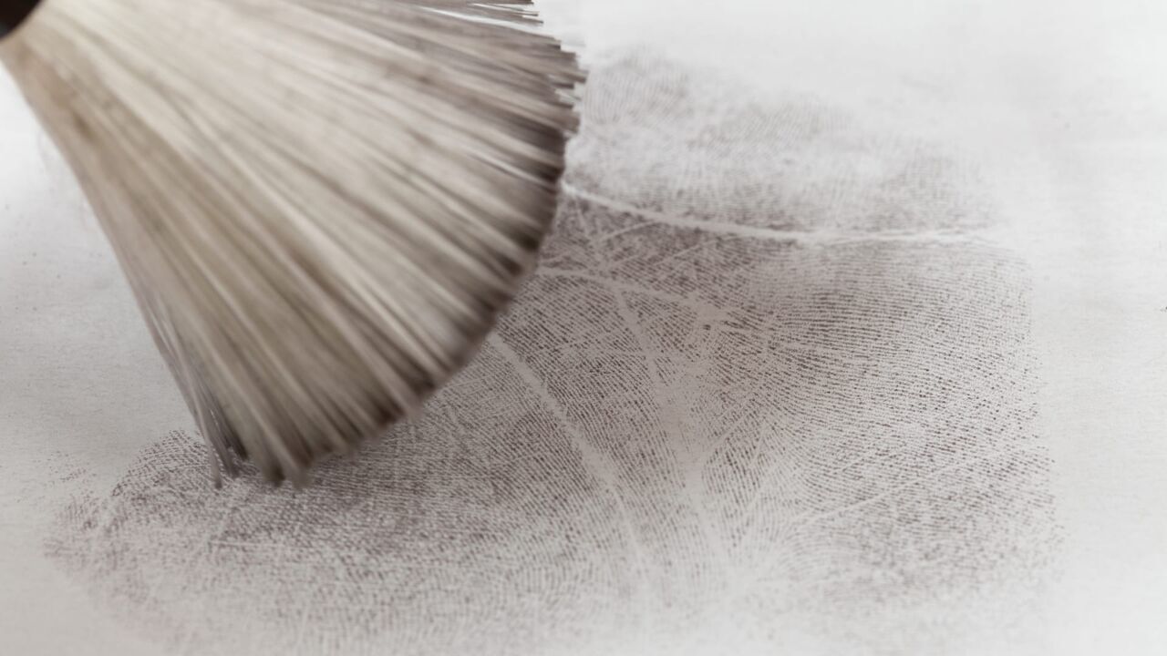 Adolescents et criminels : comment ont-ils basculé ?