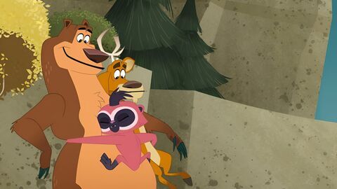 Les rebelles de la forêt, la série