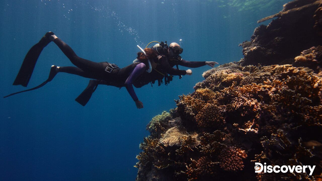 Beneath the Surface