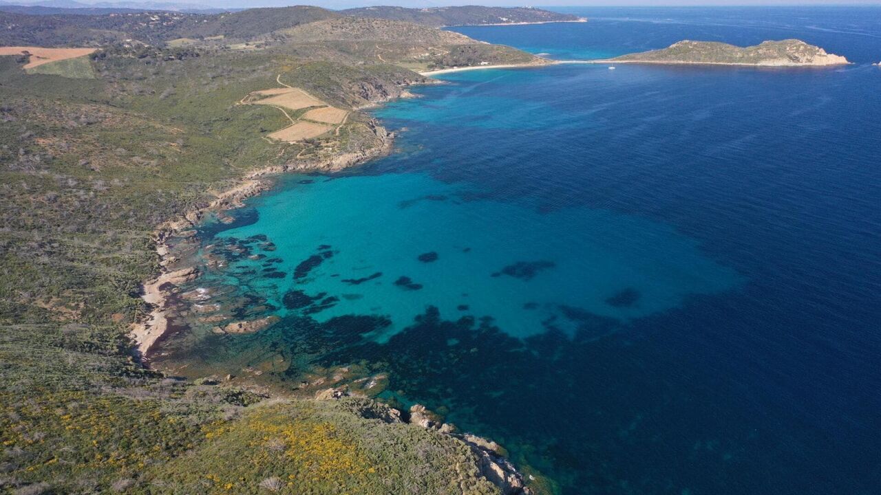 Sale temps pour la planète