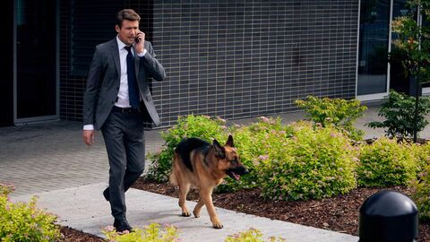 Hudson et Rex