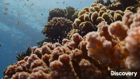 Beneath the Surface