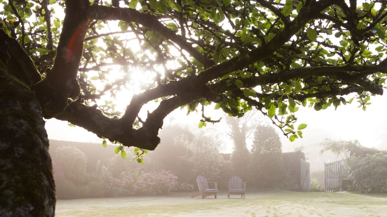 Silence, ça pousse ! — France 5 11:45