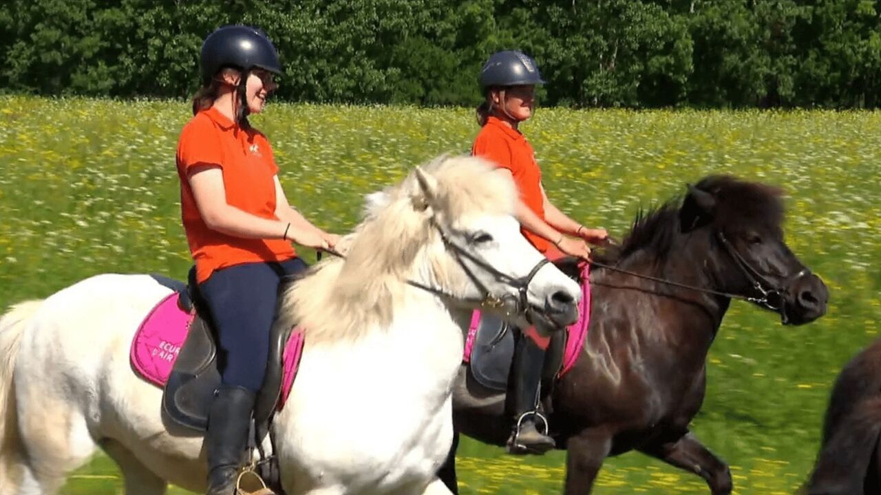 Au galop !