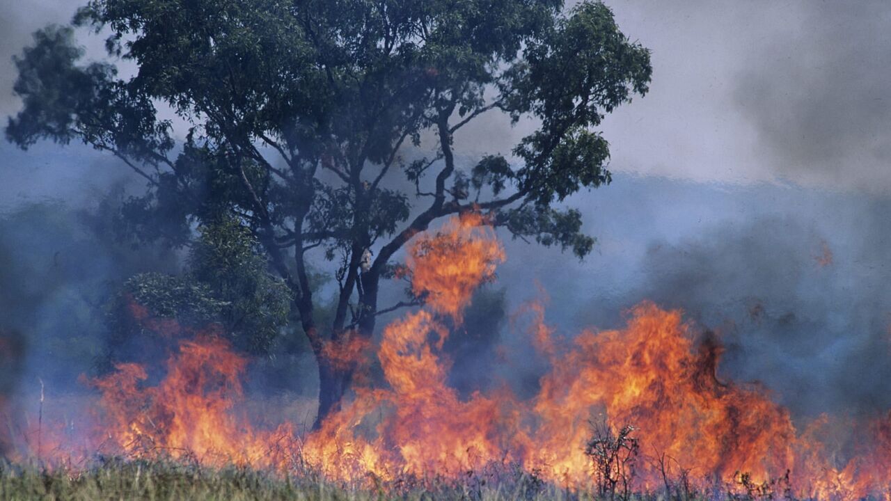 L'arrivée de Hōkūle'a à Tautira