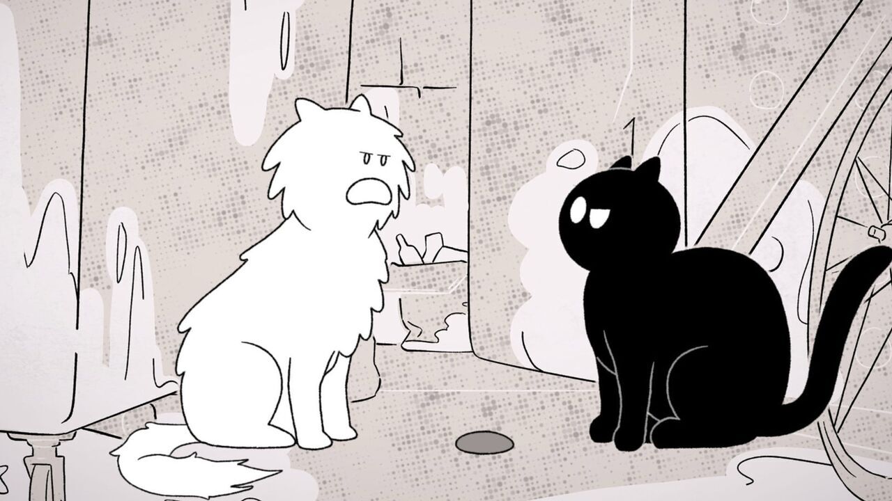 Putain de chat !
