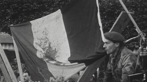 En guerre(s) pour l'Algérie