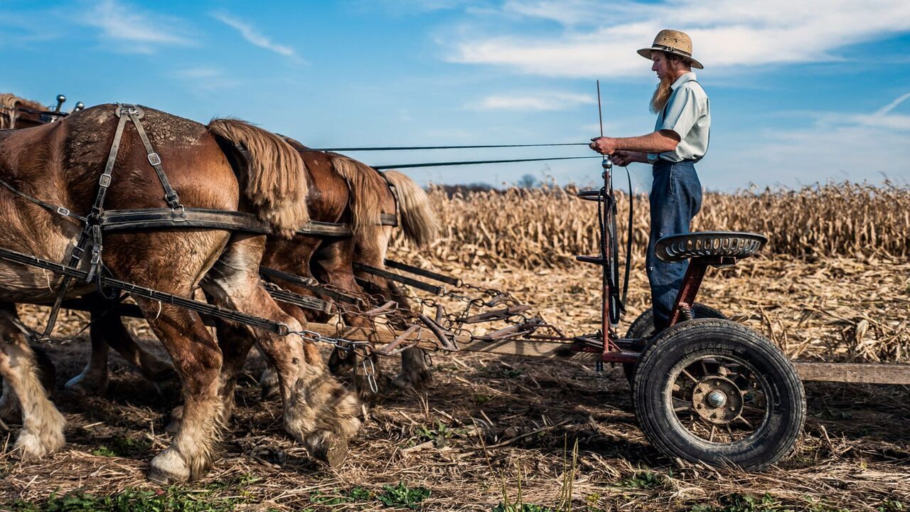 Les Amish, la vie au passé — Arte 03:30