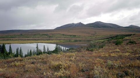 Les gouffres béants de l'Arctique