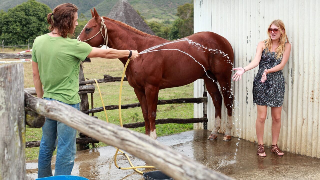 Foudre — NOVO19 06:25